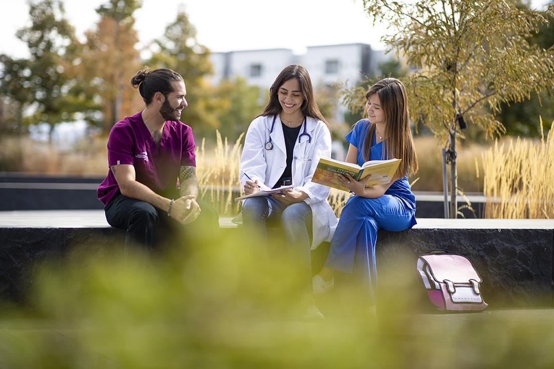 Health profession students studying